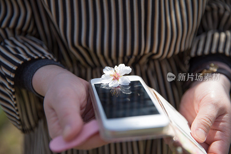 日本女人拍照的花