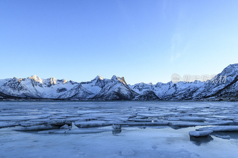 罗浮敦岛有冰架的冰冻峡湾