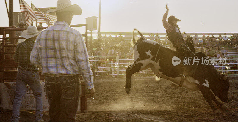 日落时分，在挤满了人的体育场里，一名男性骑牛者正在参加骑牛比赛，一头公牛试图把他从背上背下来