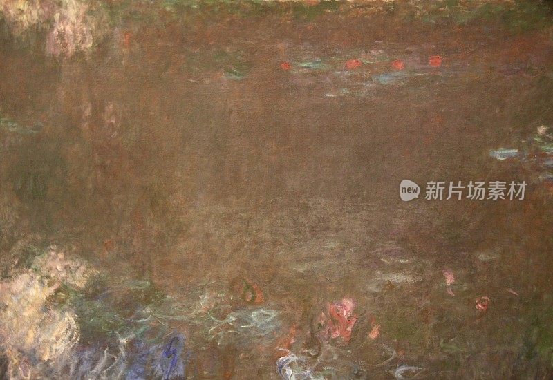 睡莲画