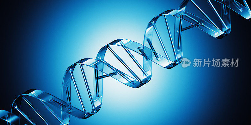 DNA有斑点的概念