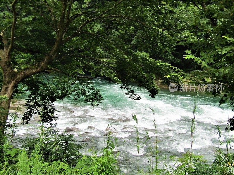 日本。7月。多雨的季节。湍急的河水在山间流淌