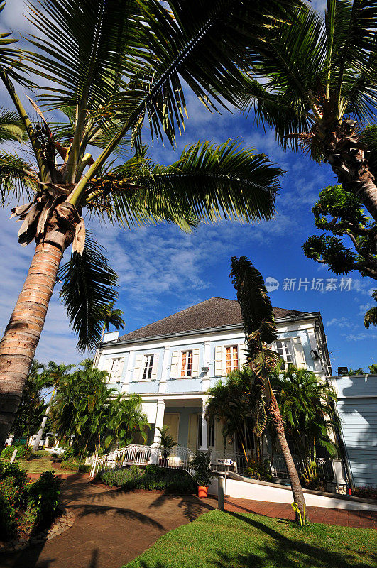 印度洋留尼旺岛，巴黎街-圣德尼政府大楼，部门别墅花园