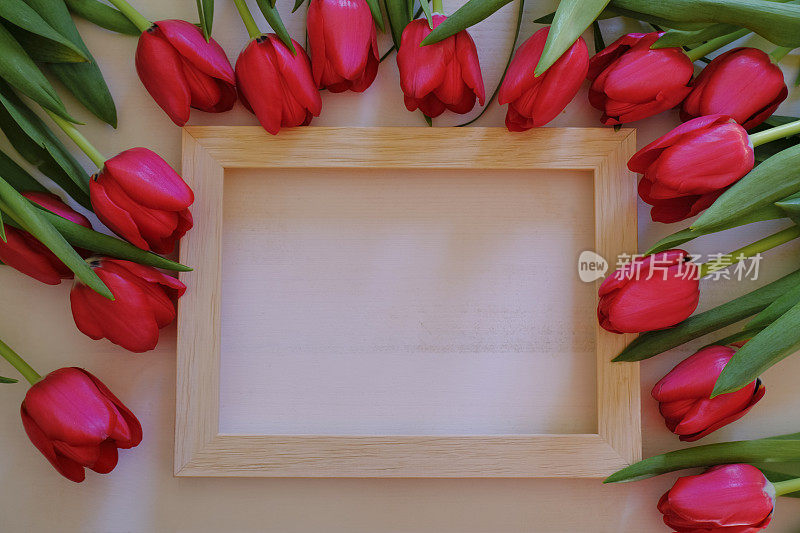 框架红色郁金香横跨木制画框上的白色背景。前视图。副本的空间。美容、化妆、风格、时尚平铺