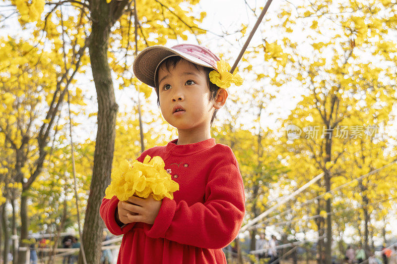 一个美丽的亚洲小女孩在公园里玩春天飘落的花