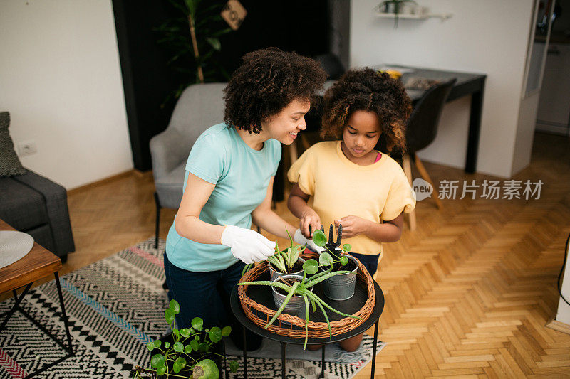 高角度的母亲和女儿照顾他们的房子植物