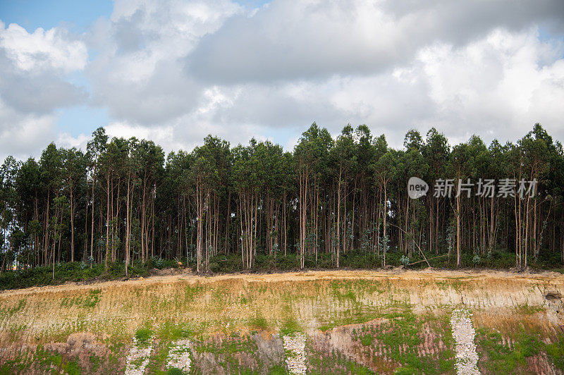 为修建高速公路而开凿的山坡