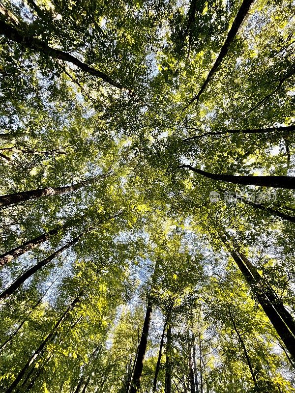 青山荒野