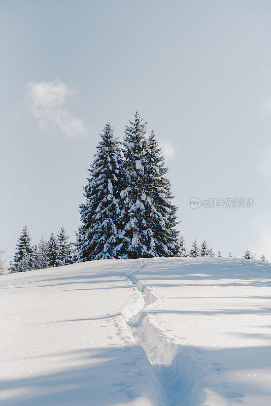 新雪中的小径