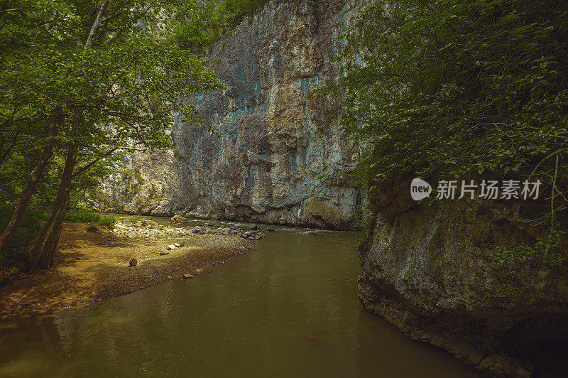 一条蜿蜒流过森林的河流