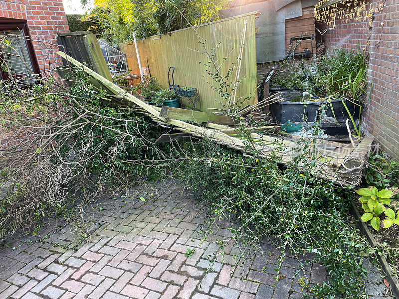 在暴风雨中，飓风破坏了花园的栅栏，被风刮倒了，挡住了车道，集中在前景上