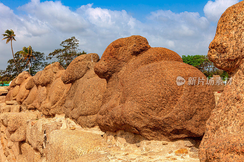 印度，马哈巴利普兰——海岸寺庙附近的花岗岩牛展示着一千三百年来的风沙侵蚀