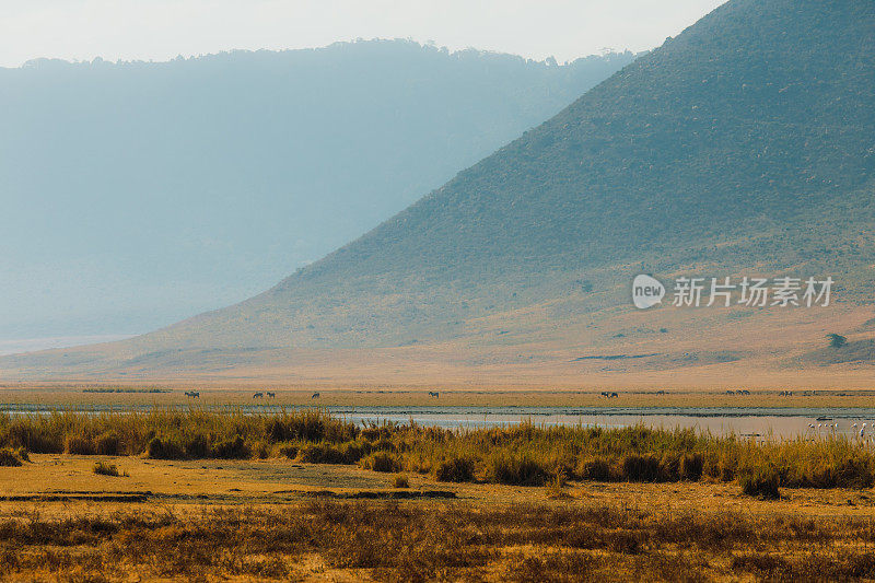 清晨漫步在坦桑尼亚恩戈罗恩戈罗火山口的湖边，观赏野生动物的美景