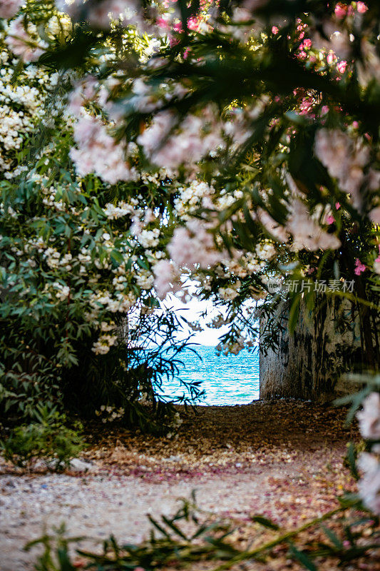 鲜花中通往大海的爱琴海街