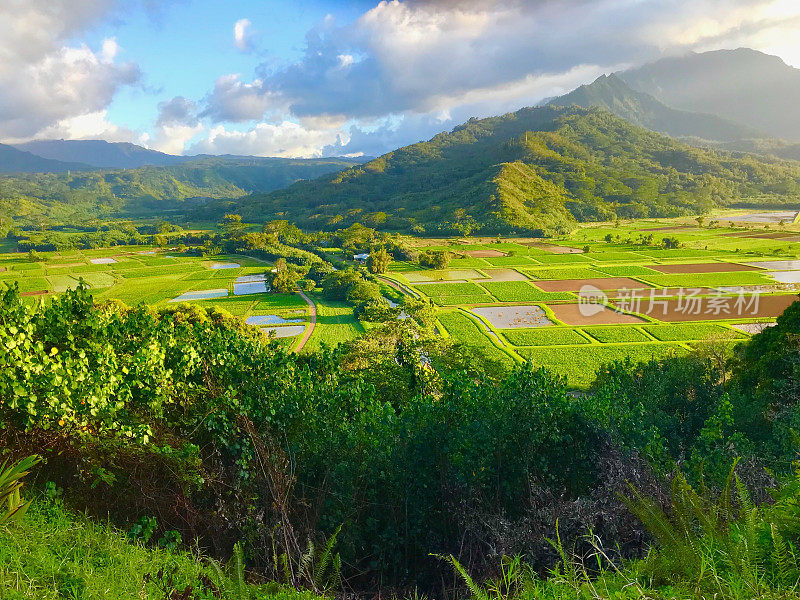 哈纳雷山谷