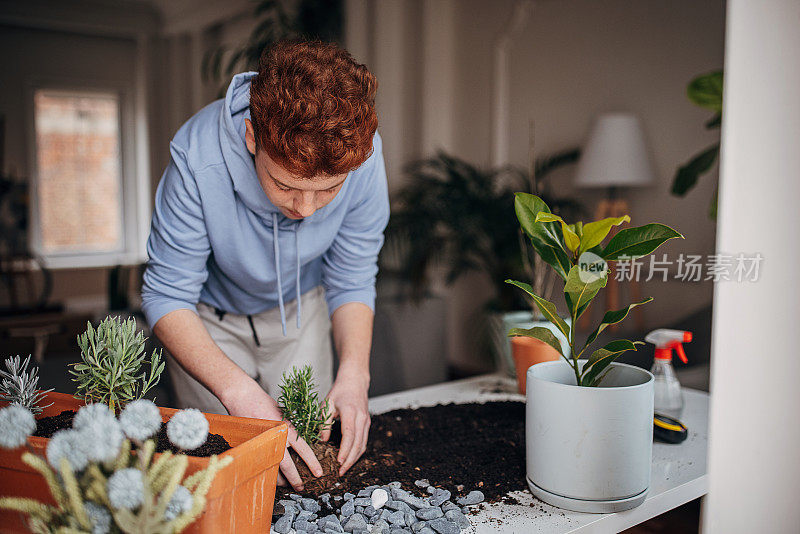 红发少年在家里种植室内植物