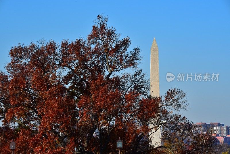 华盛顿纪念碑