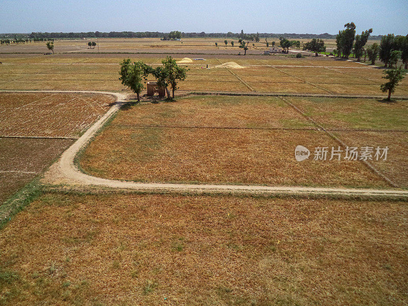 阿里尔看陆地