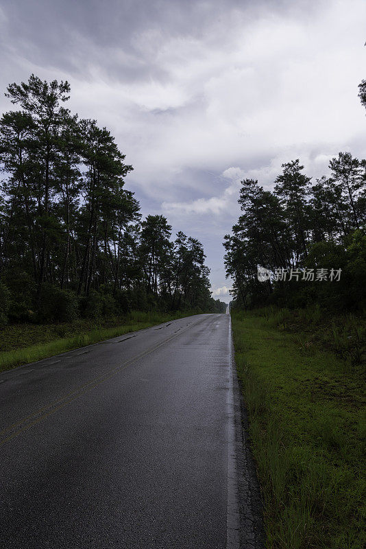 沿着湿柏油路的右边缘在山顶上观看，道路在沙松林中滚动的景观，天空中乌云密布