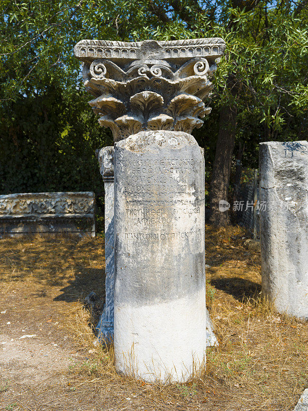 春草古城，aydın。火鸡