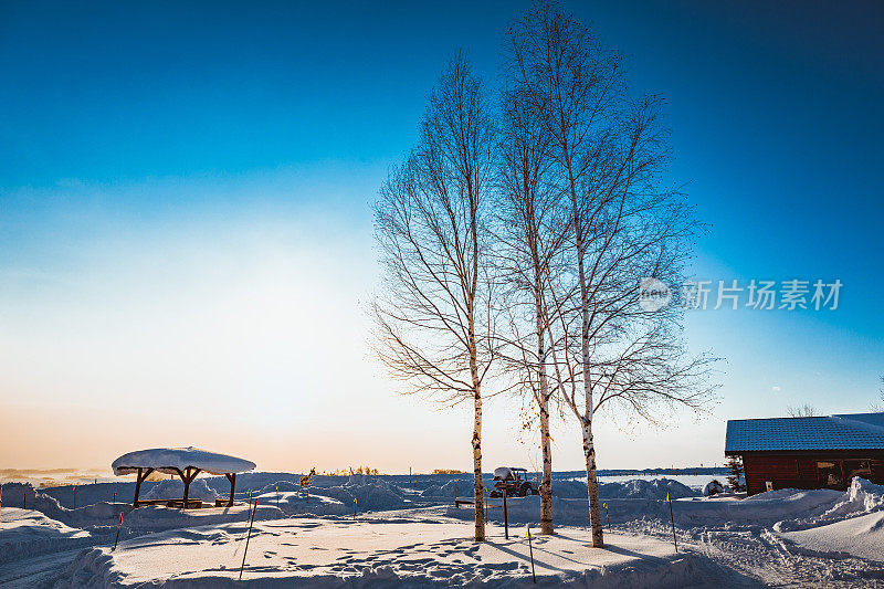 冬天的风景。Biei北海道日本