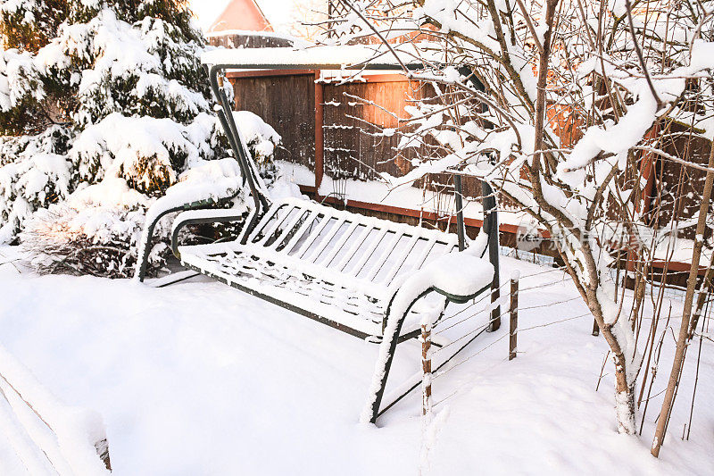 后院花园里的树被雪覆盖着