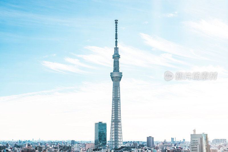 东京天空树俯瞰日本城市景观的屋顶