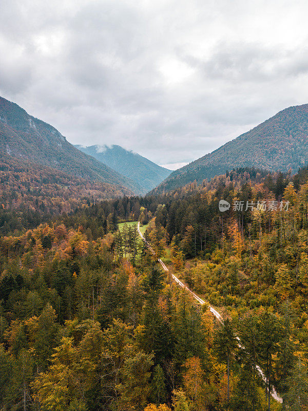 秋天山谷中的道路鸟瞰图