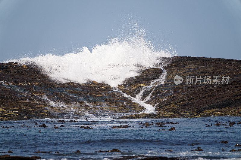 纳米比亚海岸