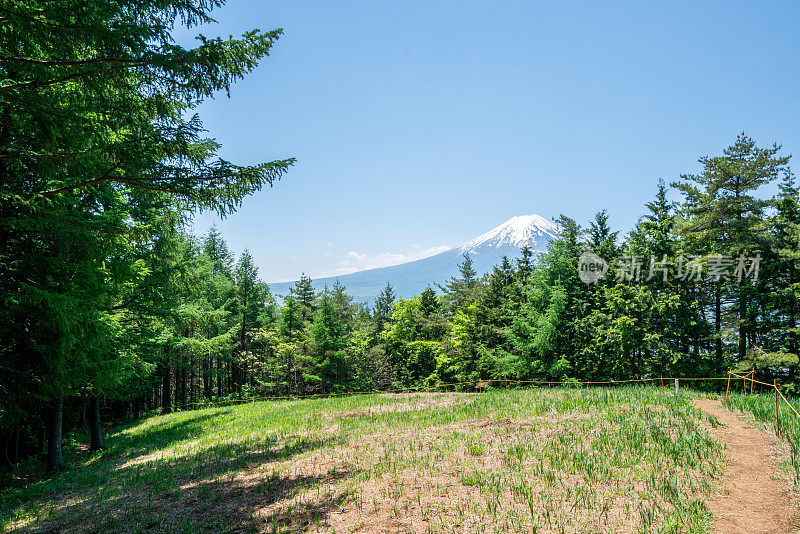 春天的富士山