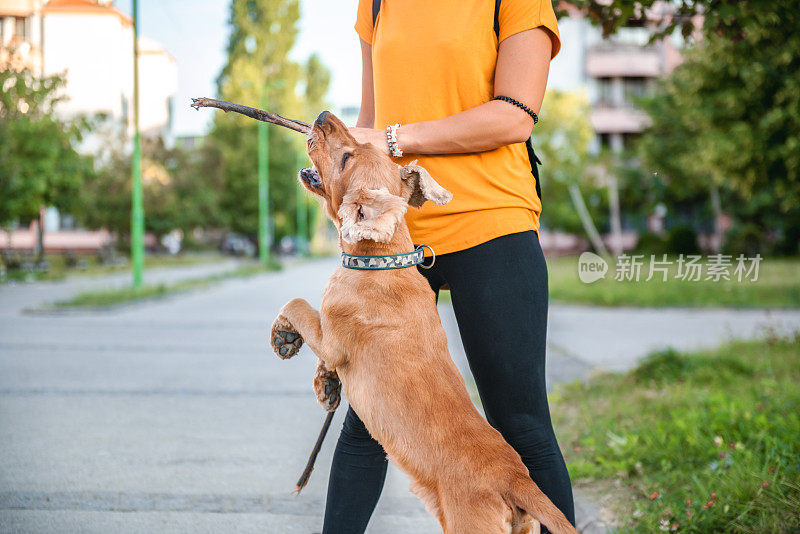 一个女人在城市公园里和她的狗玩耍