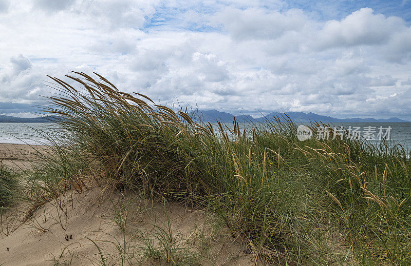 安格尔西岛的沙丘和草地，图片后方是斯诺登尼亚