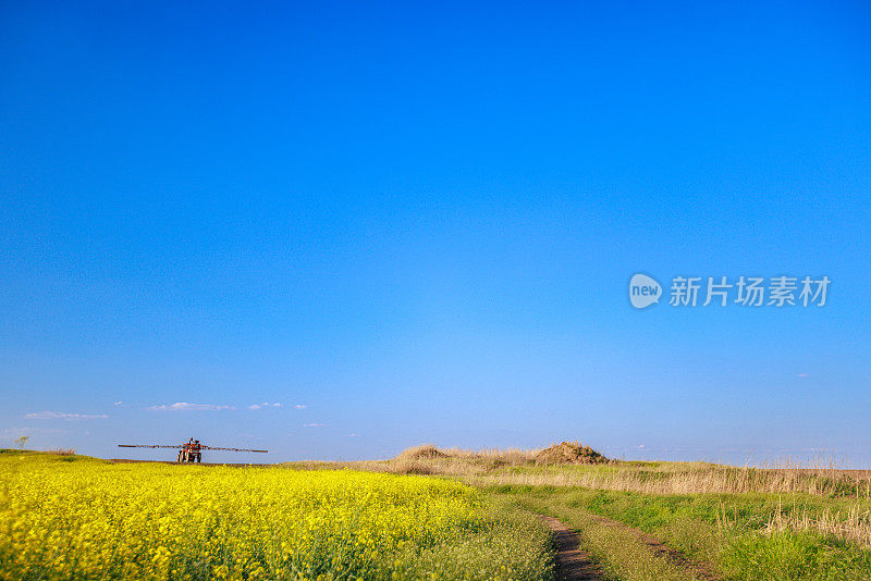 春天蓝天下的油菜田喷洒时间