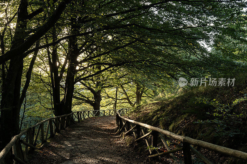 一条有栏杆的小路沿着“天堂之山”和北欧的树木向下延伸，让人想起哈利波特电影中的场景。