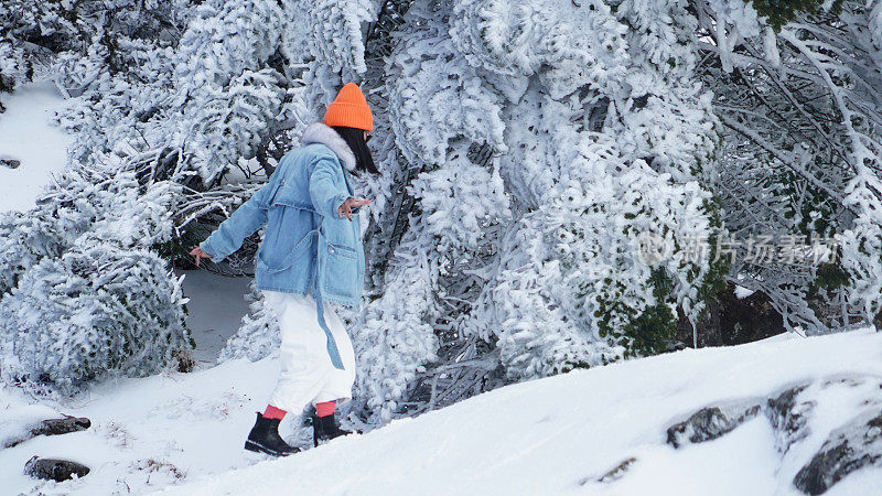 一个女人在寒冷的天气里穿行于白雪覆盖的山林之中