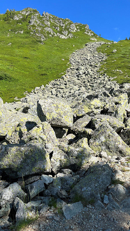 一条石头河，一堆石头从山上掉下来，沿着绿草地延伸了很长一段路