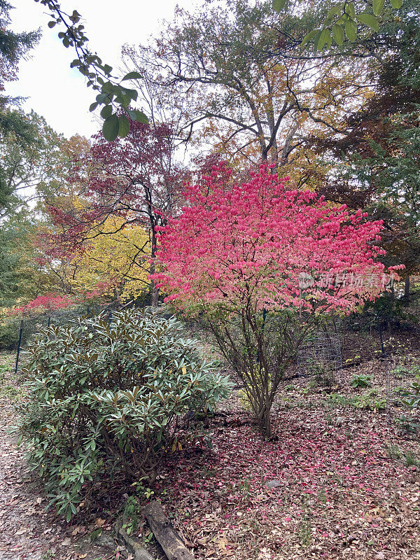 景观季节变化