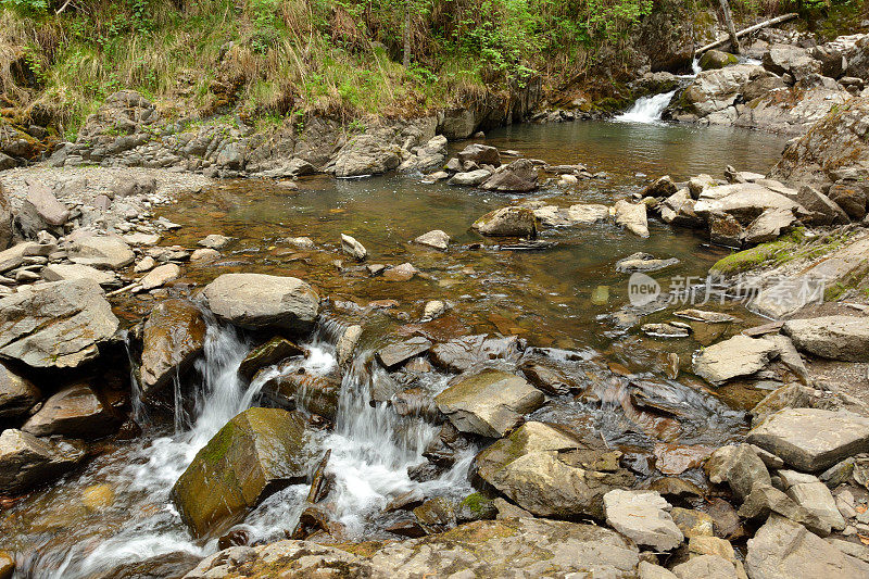 小回水一条小河从山上流下，穿过茂密的森林，绕过石头，河道中的小回水