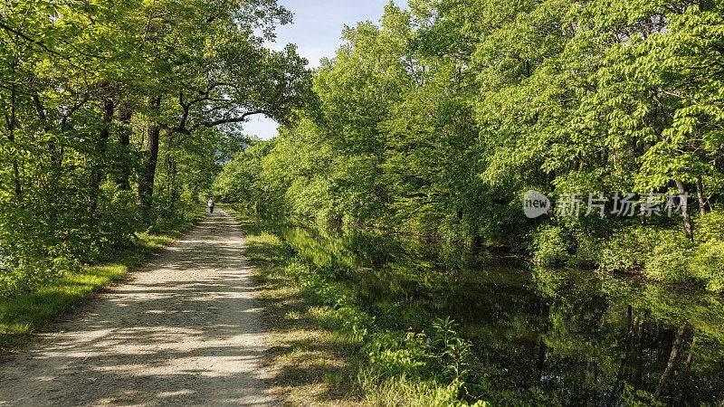 可持续发展的旅游。沿着历史悠久的运河的绿色树林在波科诺山区，宾夕法尼亚州。