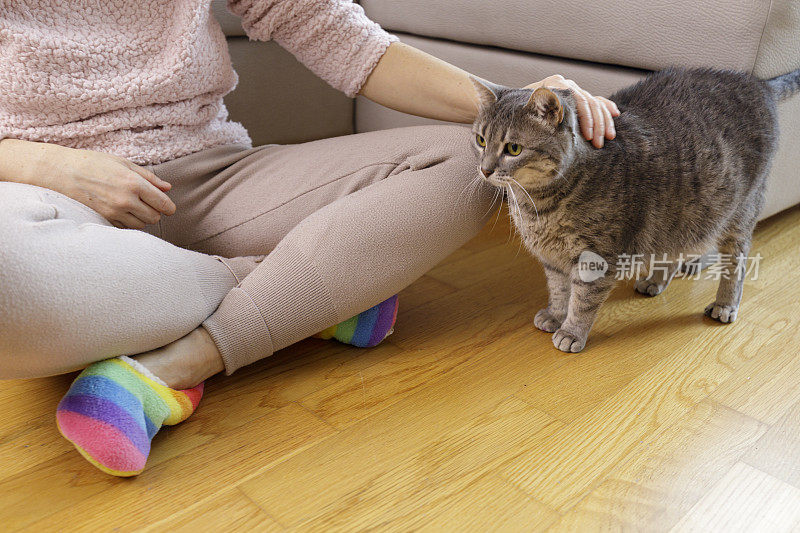 女人坐在地板上抚摸他的猫