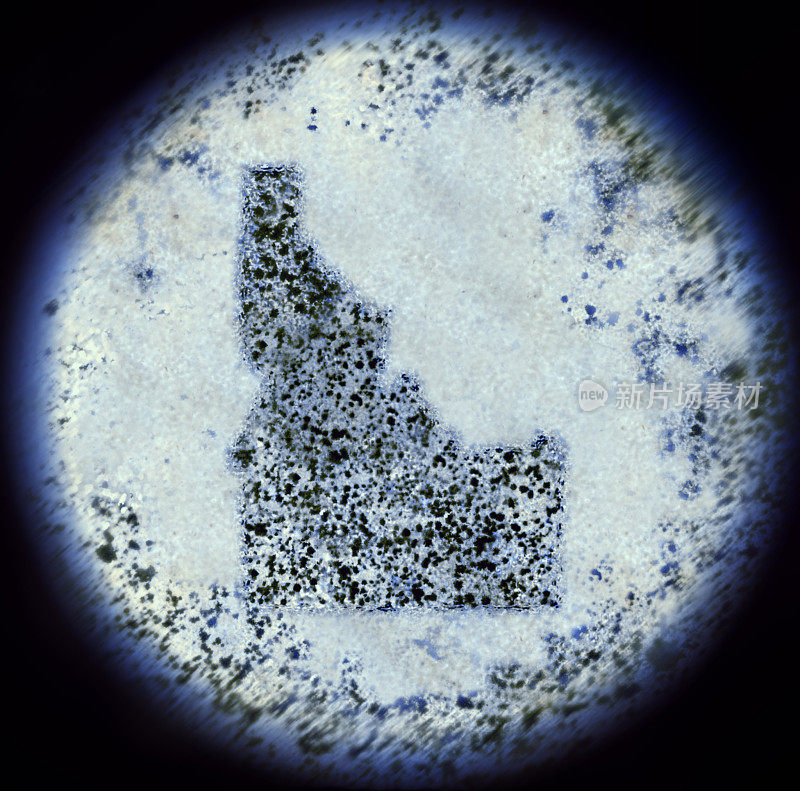 通过显微镜观察细菌的形状。(系列)