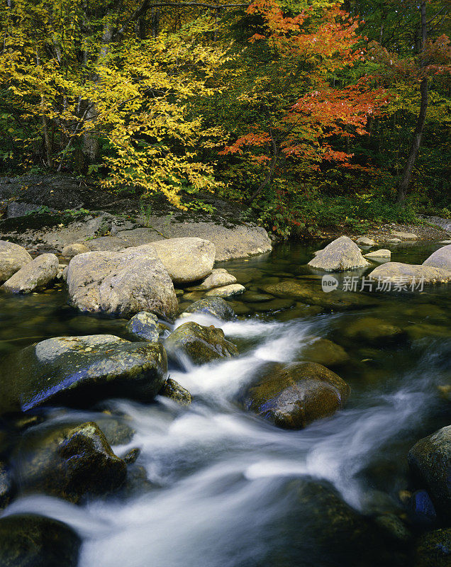 奔流的小溪和秋天的颜色，佛蒙特州