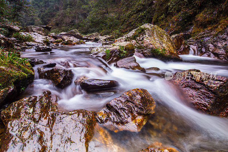 红溪河在中国桂林的原始森林里