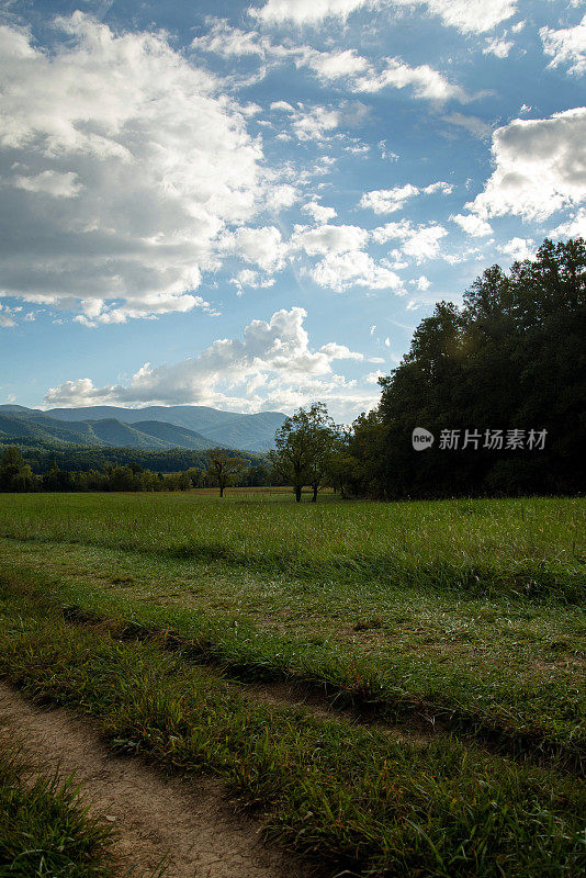 卡迪斯湾,田纳西