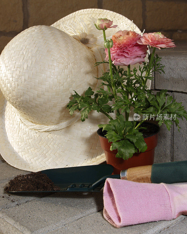 春季园艺，植物，园艺工具用土和草帽