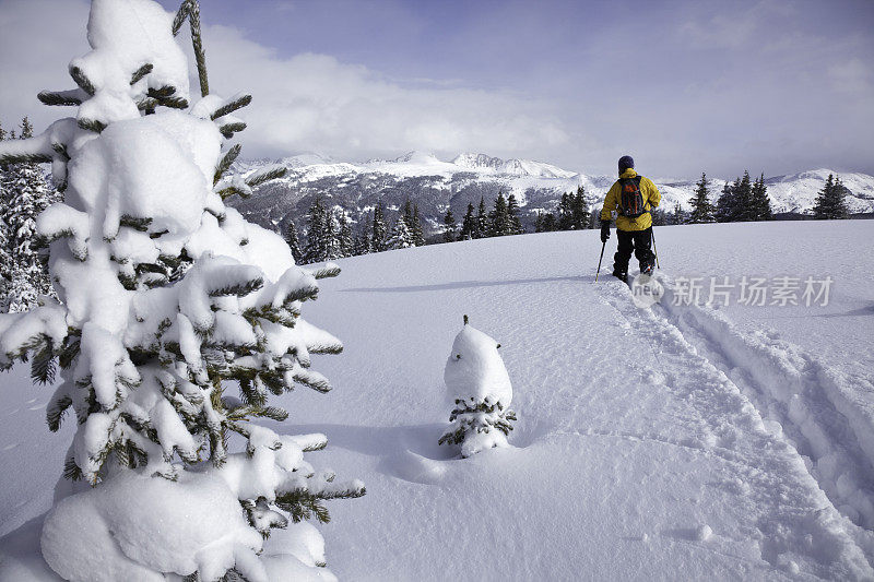 在威尔科罗拉多Backcountry的Telemark滑雪者