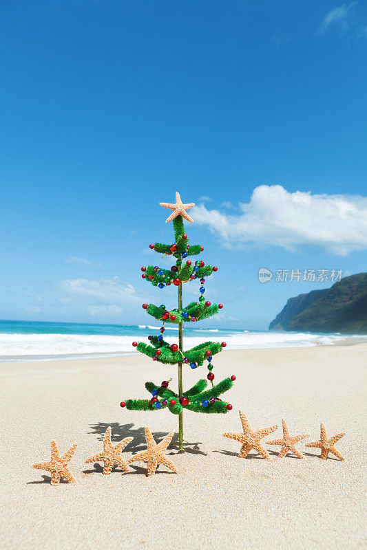 圣诞树和海星在热带海滩佛蒙特
