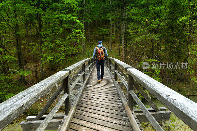 年轻人在森林里徒步旅行