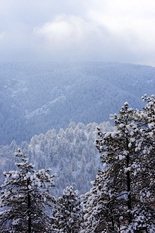 大雪