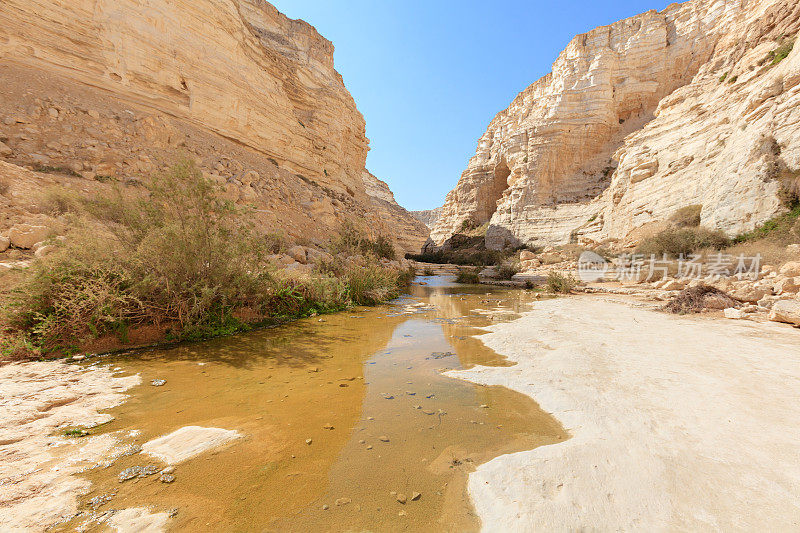 以色列内盖夫沙漠Avdat国家公园